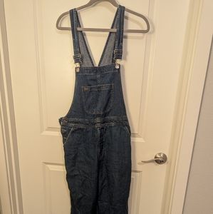 Flannel Lined Cabela's Women's overalls